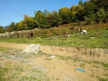 Satılır Torpaq, Qəbələ.ş-2