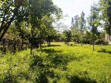Satılır Torpaq, Qəbələ.ş-2