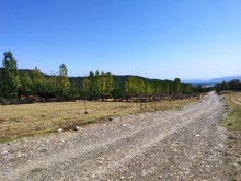 Satılır Torpaq, Qəbələ.ş-6