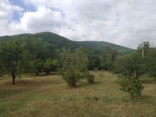 Satılır Torpaq, Qəbələ.ş-10