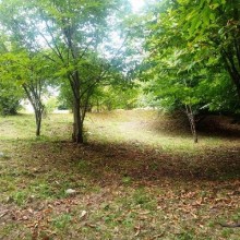 Satılır Torpaq, Qəbələ.ş-4