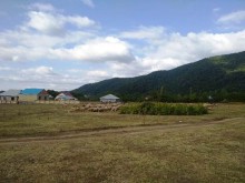 Satılır Torpaq, Qəbələ.ş-14