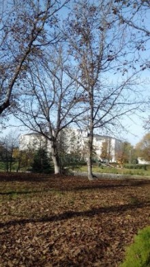Satılır Torpaq, Qəbələ.ş-2