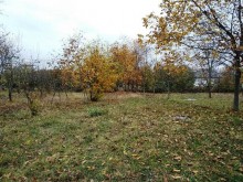 Satılır Torpaq, Qəbələ.ş-9