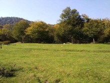 Satılır Torpaq, Qəbələ.ş-1