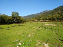 Satılır Torpaq, Qəbələ.ş-6