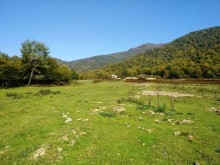 Satılır Torpaq, Qəbələ.ş-11