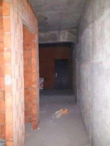 Satılır Yeni Tikili, Nəsimi.r, 20 Yanvar.m-16