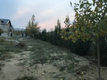 Satılır Torpaq, Xəzər.r, Şüvəlan, Koroğlu.m-2