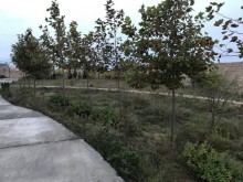 Satılır Torpaq, Xəzər.r, Şüvəlan, Koroğlu.m-7