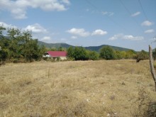 Satılır Torpaq, Qəbələ.ş-1