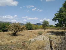 Satılır Torpaq, Qəbələ.ş-6