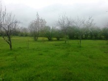 Satılır Torpaq, Qəbələ.ş-2