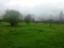 Satılır Torpaq, Qəbələ.ş-4