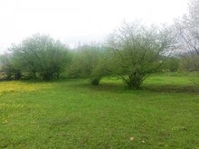 Satılır Torpaq, Qəbələ.ş-5
