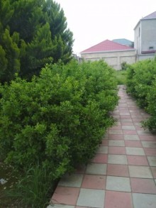 Satılır Həyət evi, Abşeron.r, Masazır-14