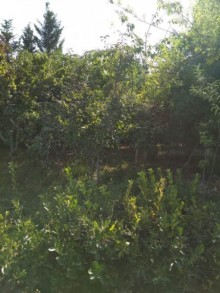 Satılır Həyət evi, Abşeron.r, Masazır-18