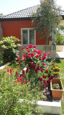 novxanı villa ag evleri, -1