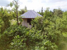 Satılır Həyət evi, İsmayıllı.ş-2