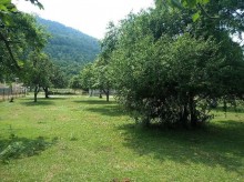 Satılır Torpaq, İsmayıllı.ş-12