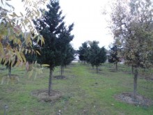 Satılır Həyət evi, Xəzər.r, Mərdəkan-4