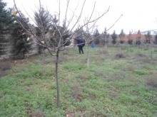 Satılır Torpaq, Xəzər.r, Mərdəkan-2