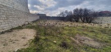 Satılır Torpaq, Sabunçu.r, Maştağa, Koroğlu.m-3
