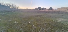 Satılır Torpaq, Sabunçu.r, Nardaran, Koroğlu.m-6