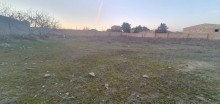 Satılır Torpaq, Sabunçu.r, Nardaran, Koroğlu.m-11