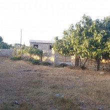 Satılır Torpaq, Sabunçu.r, Albalı, Koroğlu.m-2