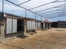 Satılır Torpaq, Sabunçu.r, Bilgəh, Koroğlu.m-11
