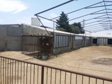 Satılır Torpaq, Sabunçu.r, Bilgəh, Koroğlu.m-12