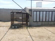 Satılır Torpaq, Sabunçu.r, Bilgəh, Koroğlu.m-19