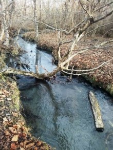 Satılır Torpaq, Qəbələ.ş-1