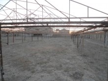 Satılır Torpaq, Xəzər.r, Şüvəlan-5