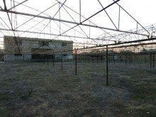 Satılır Torpaq, Xəzər.r, Şüvəlan-6