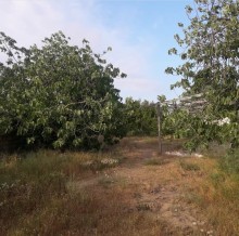 Satılır Torpaq, Sabunçu.r, Maştağa, Koroğlu.m-1