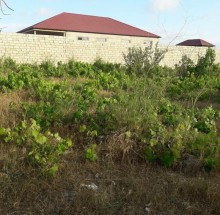 Satılır Torpaq, Sabunçu.r, Maştağa, Koroğlu.m-2