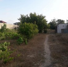Satılır Torpaq, Sabunçu.r, Maştağa, Koroğlu.m-3