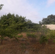 Satılır Torpaq, Sabunçu.r, Maştağa, Koroğlu.m-4