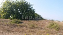 Satılır Torpaq, Sabunçu.r, Maştağa, Koroğlu.m-4
