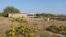 Satılır Torpaq, Sabunçu.r, Maştağa, Koroğlu.m-8