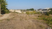 Satılır Torpaq, Sabunçu.r, Maştağa, Koroğlu.m-12