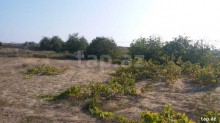 Satılır Torpaq, Sabunçu.r, Maştağa, Koroğlu.m-13