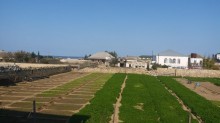 Satılır Torpaq, Sabunçu.r, Bilgəh, Koroğlu.m-1