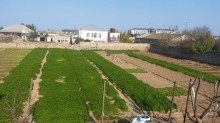 Satılır Torpaq, Sabunçu.r, Bilgəh, Koroğlu.m-3