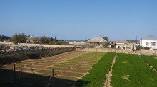 Satılır Torpaq, Sabunçu.r, Bilgəh, Koroğlu.m-5