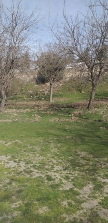 Satılır Torpaq, Abşeron.r, Novxanı, Azadlıq.m-3