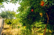 Satılır Həyət evi, Abşeron.r, Saray-17