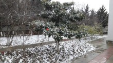 Satılır Həyət evi, Yasamal.r, Elmlər Akademiyası.m-3